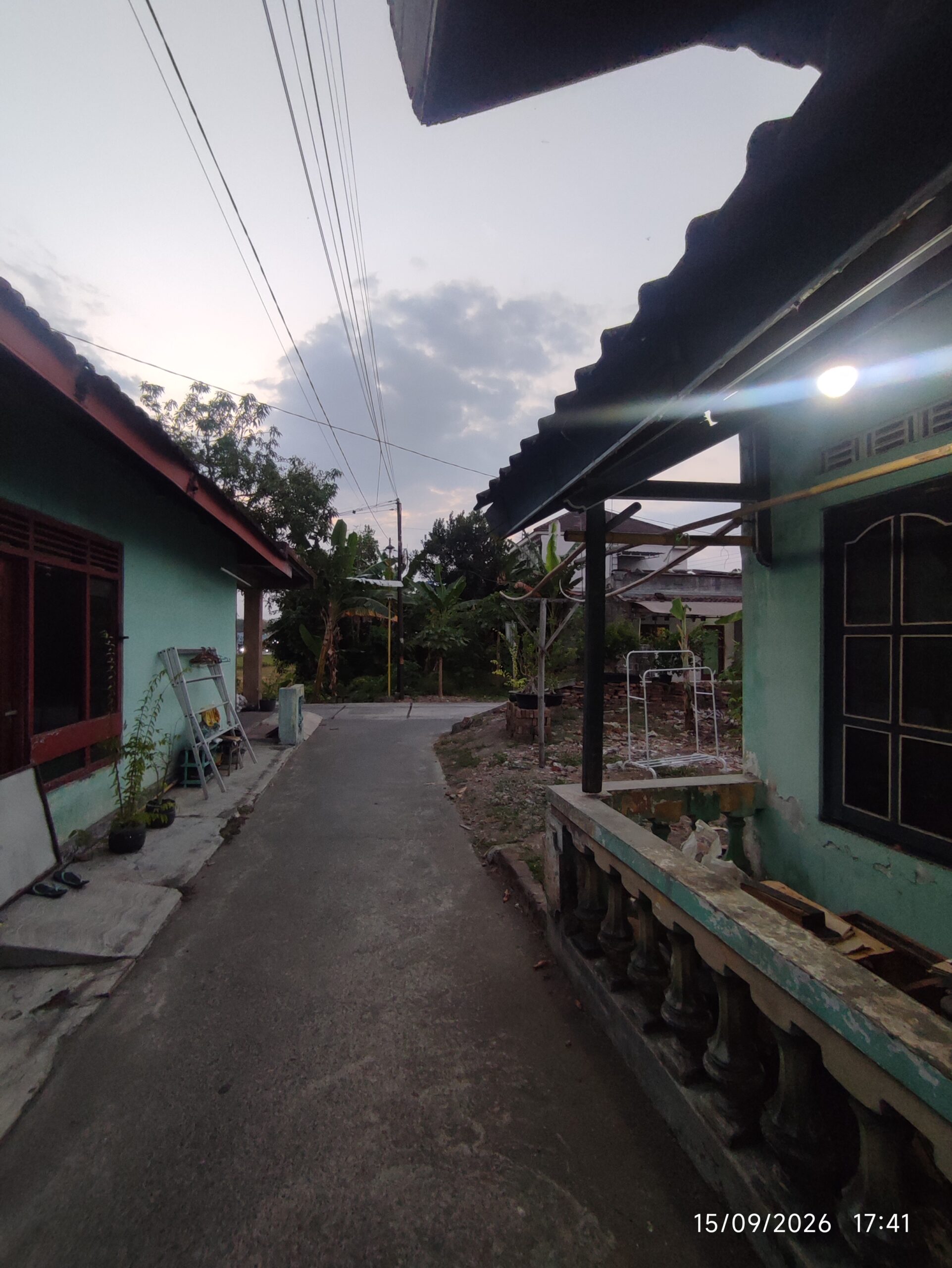 tanah pedes sedayu