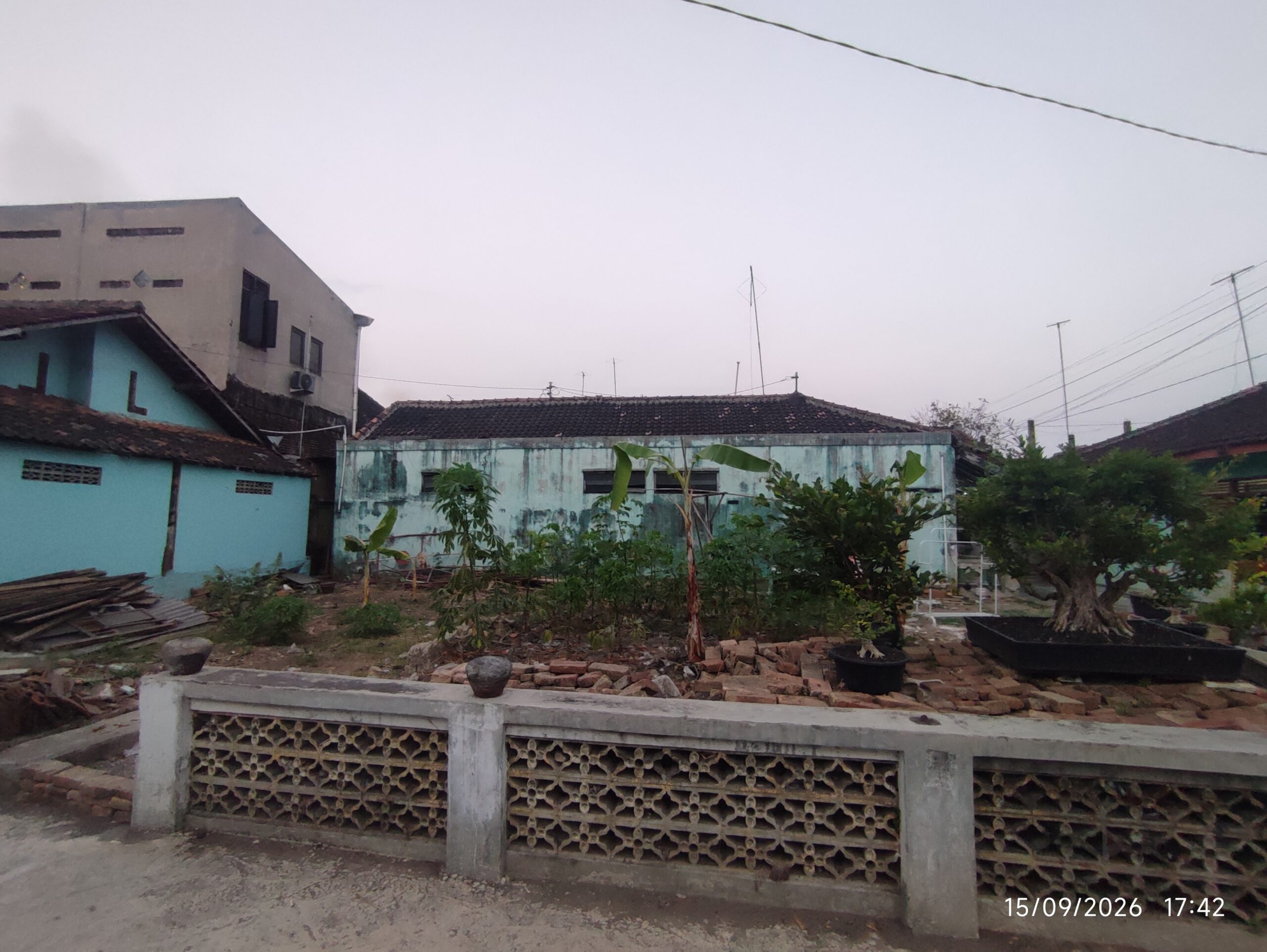 tanah pedes sedayu