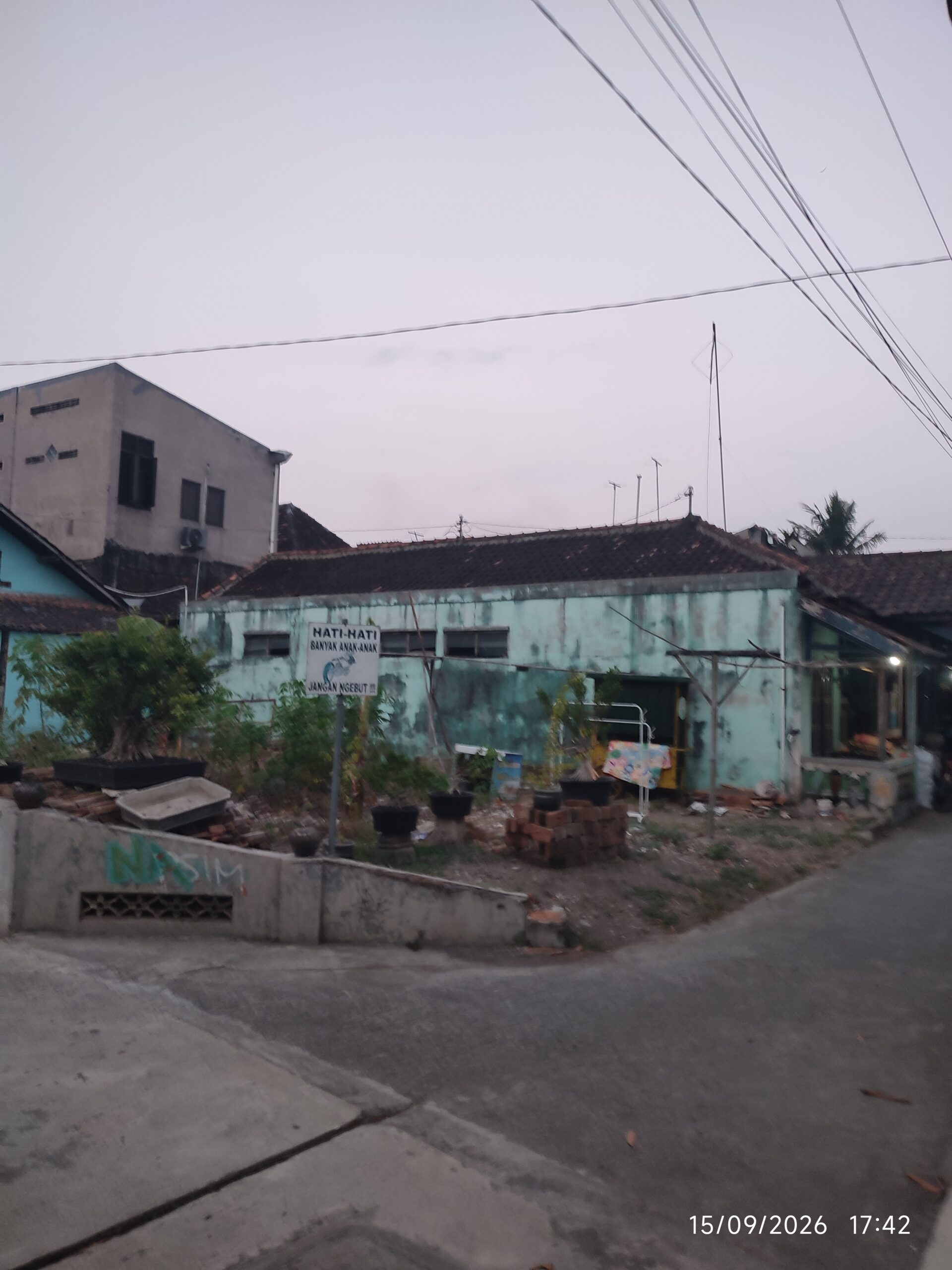 tanah pedes sedayu